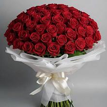 Букет 101 Красная роза Блэк Мэджик в Чигири